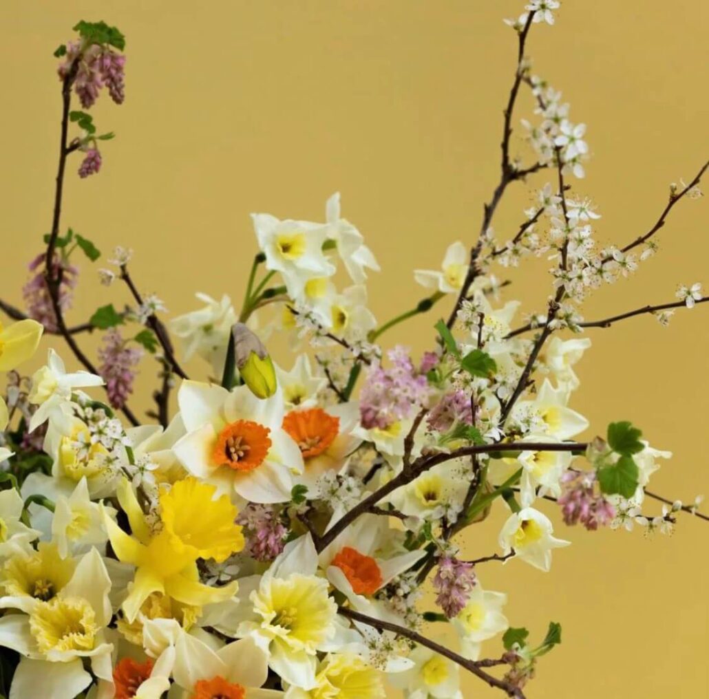 Flowers Grown in Scotland