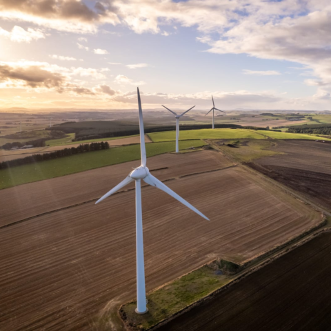 51492678 a solitary wind turbine on a green renewable energy farm on a sunny day