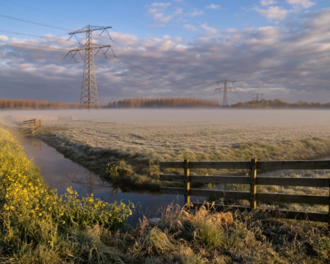 82725736 morning fog above a meadow with electricity pylons