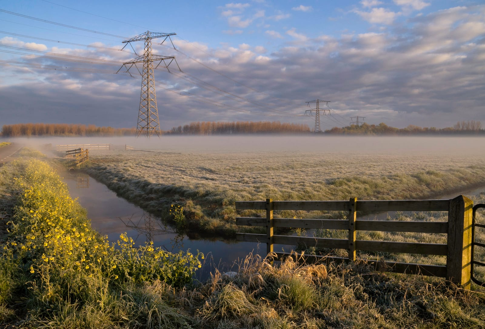 82725736 morning fog above a meadow with electricity pylons