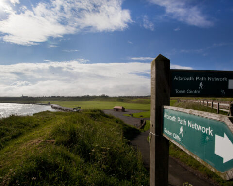 5072846 landscape in arbrouth northern scotland