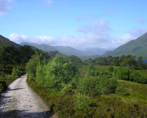 View along Glen Affric, with a bit of Loch Affric visible to right