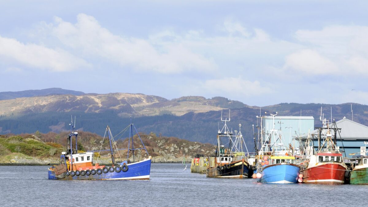 4234328 fishing boat coming into harbor