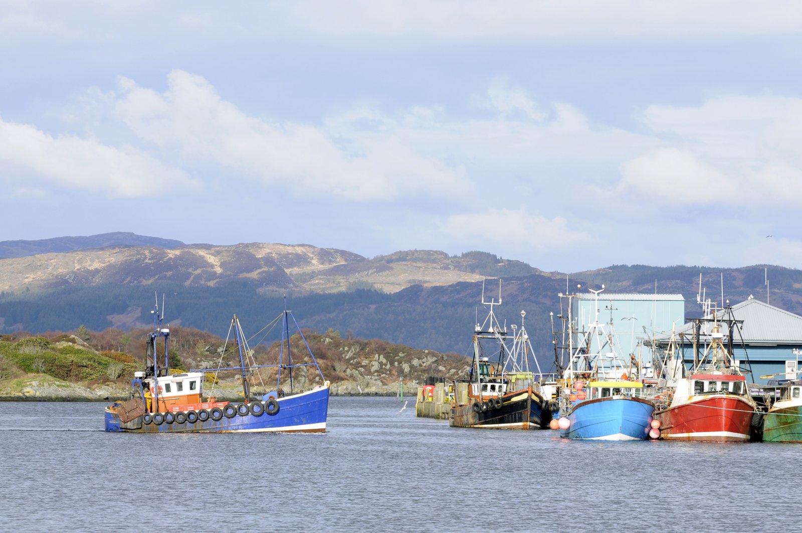 4234328 fishing boat coming into harbor